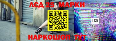 молекула духа Будённовск