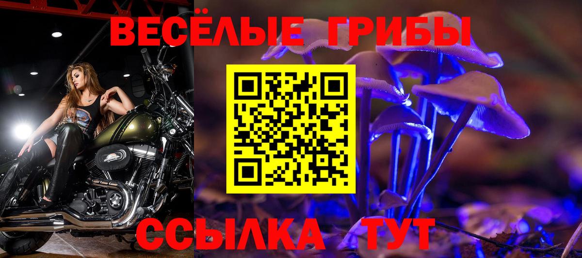 Тюмень  Псилоцибиновые грибы GOLDEN TEACHER  Вход с VPN 